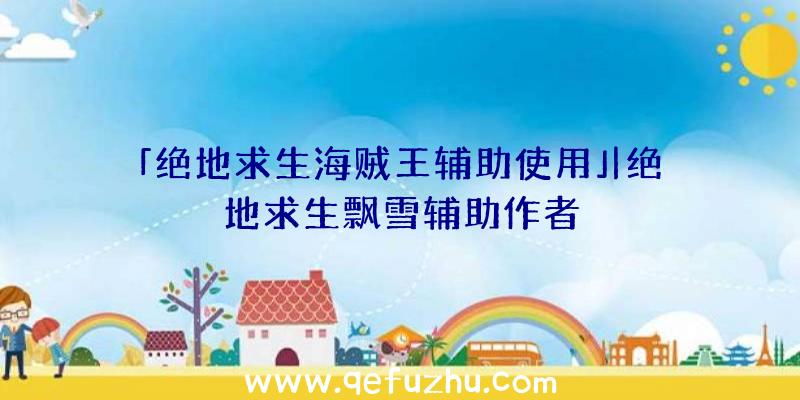 「绝地求生海贼王辅助使用」|绝地求生飘雪辅助作者
